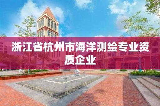 浙江省杭州市海洋测绘专业资质企业