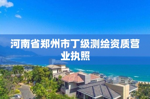 河南省郑州市丁级测绘资质营业执照