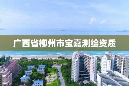 广西省柳州市宝嘉测绘资质