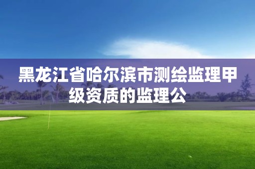 黑龙江省哈尔滨市测绘监理甲级资质的监理公