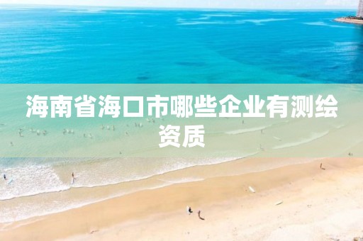 海南省海口市哪些企业有测绘资质