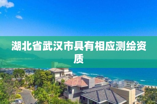 湖北省武汉市具有相应测绘资质