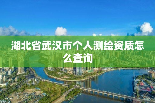 湖北省武汉市个人测绘资质怎么查询