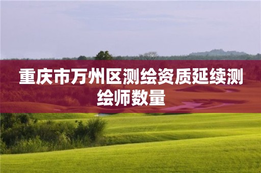 重庆市万州区测绘资质延续测绘师数量