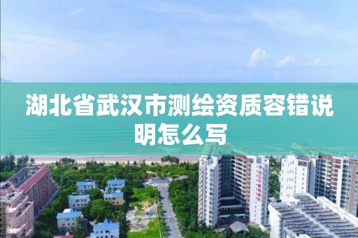 湖北省武汉市测绘资质容错说明怎么写