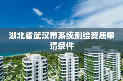 湖北省武汉市系统测绘资质申请条件