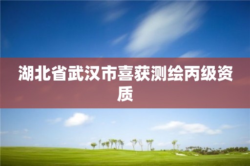 湖北省武汉市喜获测绘丙级资质