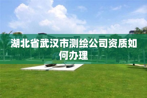 湖北省武汉市测绘公司资质如何办理