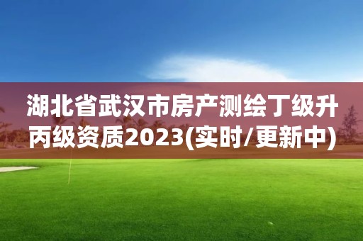 湖北省武汉市房产测绘丁级升丙级资质2023(实时/更新中)