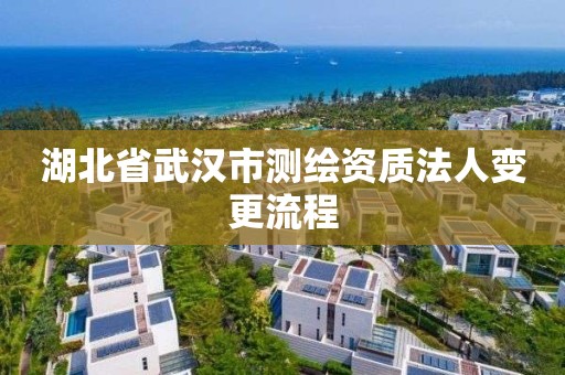 湖北省武汉市测绘资质法人变更流程