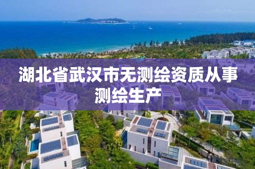 湖北省武汉市无测绘资质从事测绘生产