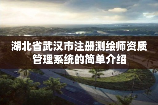 湖北省武汉市注册测绘师资质管理系统的简单介绍