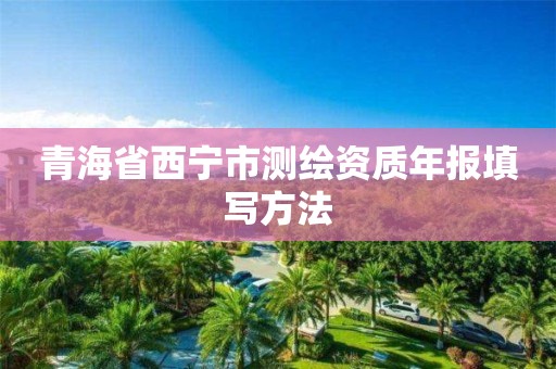 青海省西宁市测绘资质年报填写方法