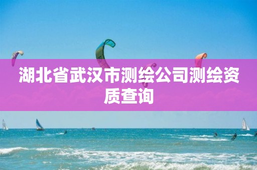 湖北省武汉市测绘公司测绘资质查询