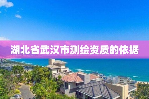 湖北省武汉市测绘资质的依据