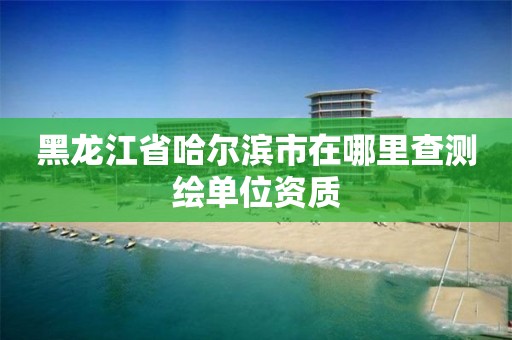 黑龙江省哈尔滨市在哪里查测绘单位资质