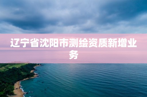 辽宁省沈阳市测绘资质新增业务