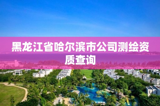 黑龙江省哈尔滨市公司测绘资质查询