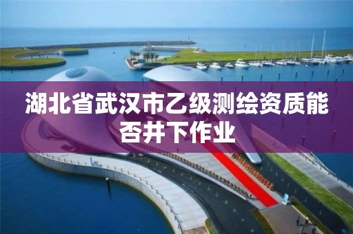 湖北省武汉市乙级测绘资质能否井下作业