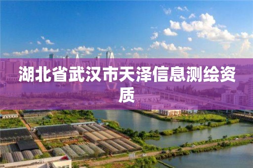 湖北省武汉市天泽信息测绘资质