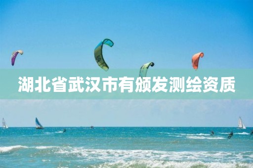 湖北省武汉市有颁发测绘资质