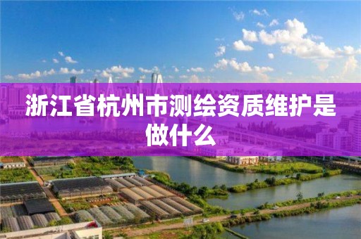 浙江省杭州市测绘资质维护是做什么