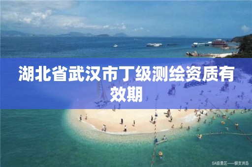 湖北省武汉市丁级测绘资质有效期