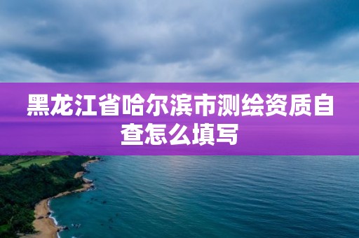 黑龙江省哈尔滨市测绘资质自查怎么填写