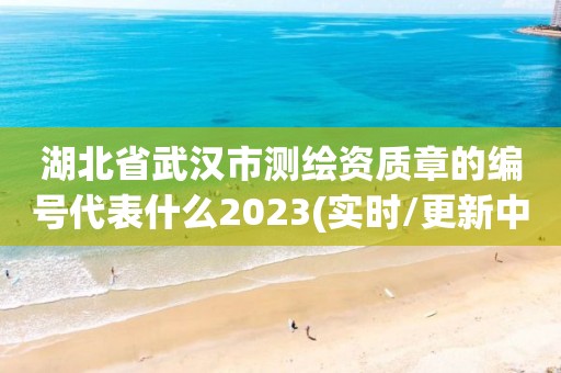 湖北省武汉市测绘资质章的编号代表什么2023(实时/更新中)