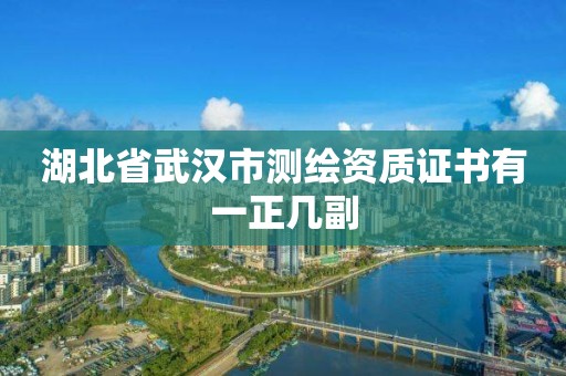 湖北省武汉市测绘资质证书有一正几副