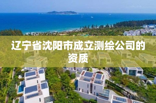 辽宁省沈阳市成立测绘公司的资质