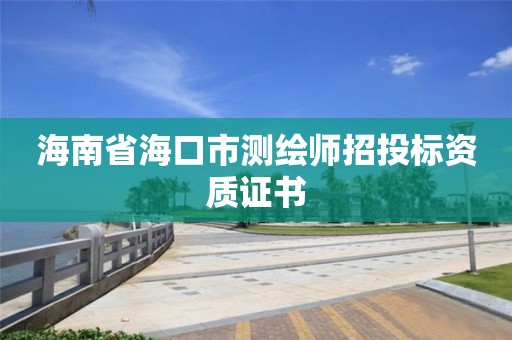 海南省海口市测绘师招投标资质证书