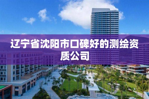 辽宁省沈阳市口碑好的测绘资质公司