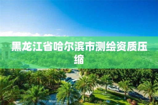 黑龙江省哈尔滨市测绘资质压缩