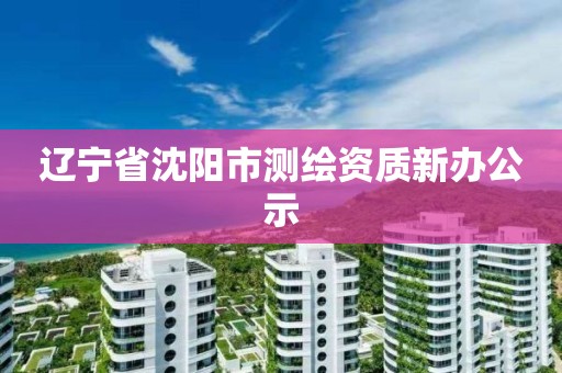 辽宁省沈阳市测绘资质新办公示