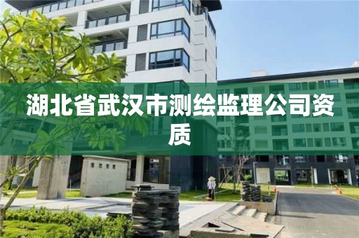 湖北省武汉市测绘监理公司资质