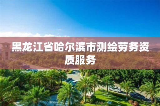 黑龙江省哈尔滨市测绘劳务资质服务