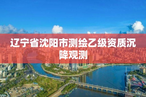 辽宁省沈阳市测绘乙级资质沉降观测