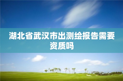 湖北省武汉市出测绘报告需要资质吗