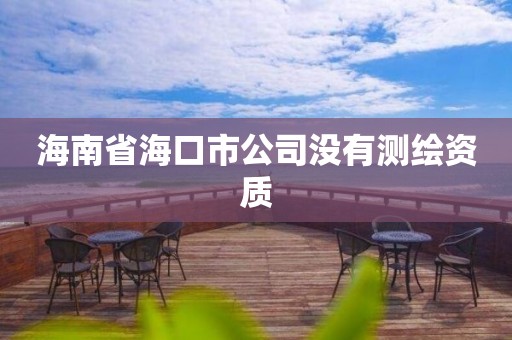 海南省海口市公司没有测绘资质