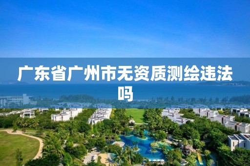 广东省广州市无资质测绘违法吗