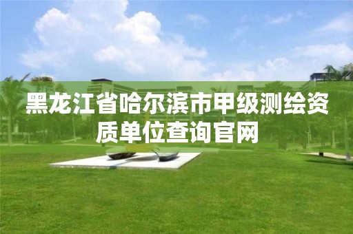 黑龙江省哈尔滨市甲级测绘资质单位查询官网