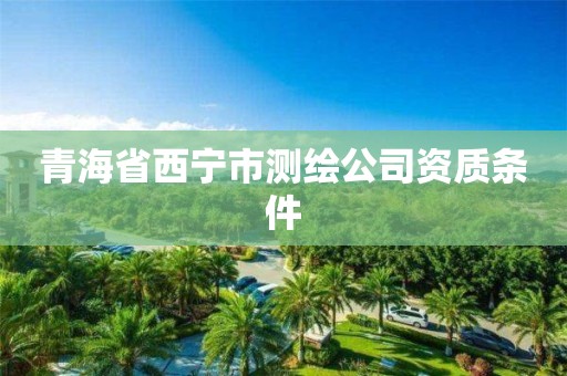 青海省西宁市测绘公司资质条件