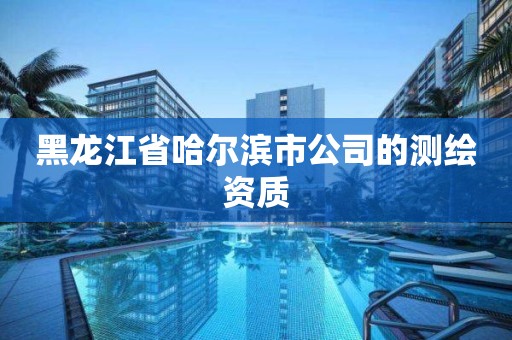 黑龙江省哈尔滨市公司的测绘资质