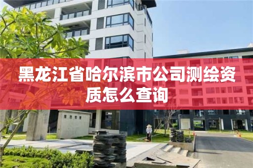 黑龙江省哈尔滨市公司测绘资质怎么查询