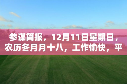 参谋简报，12月11日星期日，农历冬月月十八，工作愉快，平安喜乐