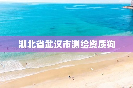 湖北省武汉市测绘资质狗