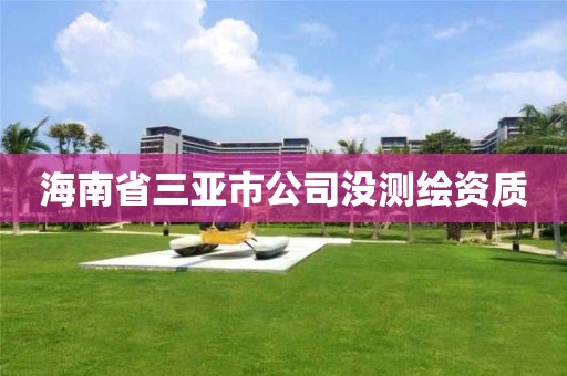 海南省三亚市公司没测绘资质