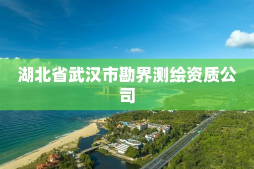 湖北省武汉市勘界测绘资质公司