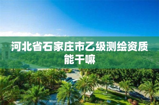 河北省石家庄市乙级测绘资质能干嘛